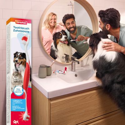 beaphar Zahnbürste für Hunde & Katzen