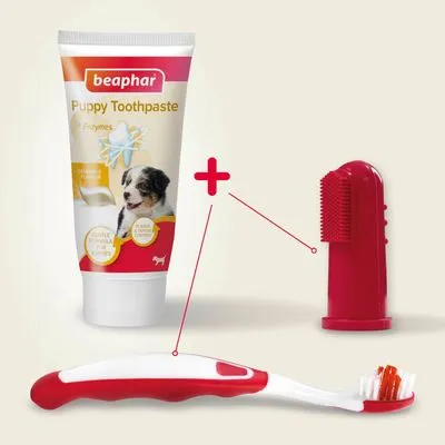 beaphar tandvårdsset för valpar - Set: Tandborste + fingerborste + valptandkräm