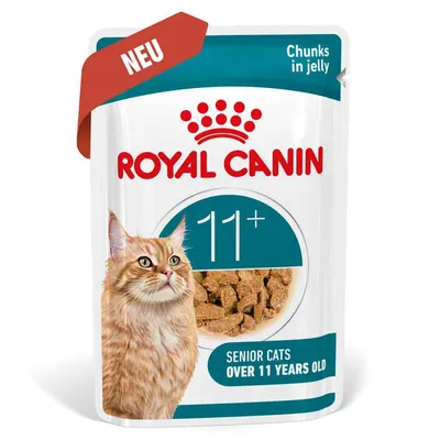 Royal Canin Ageing 11+ in Gelee