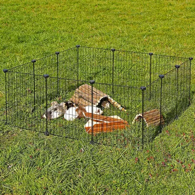 Lionto Free-Range Metal Enclosure Lionto Free-Range Metal Enclosure