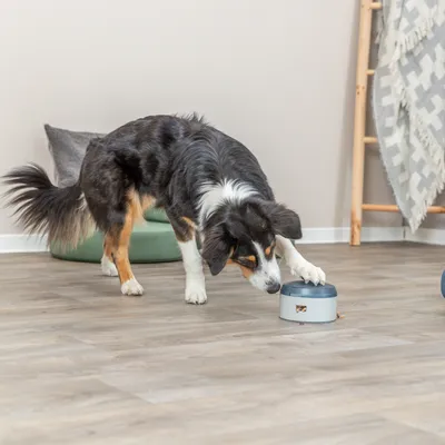 Trixie Dog Activity Buzzer strategispel - Ø 14 x 9,5 cm