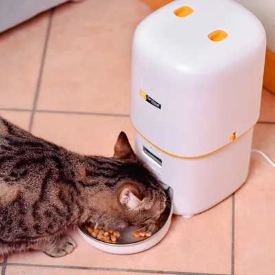 Ferplast Risto Pet ruokinta-automaatti  - jopa 4 litraa kuivaruokaa