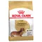 Sparpaket Royal Canin Dachshund Adult (2 x 7,5 kg)