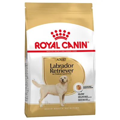 Royal Canin Adult Labrador Retriever, 15 hónapos kortól, speciális krokettforma az egészséges ízületekért, bőrért és szőrzetért. Breed Health Nutrition.