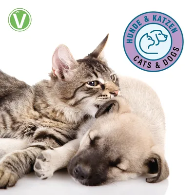Vetlando Ohrenpflege - 50 ml