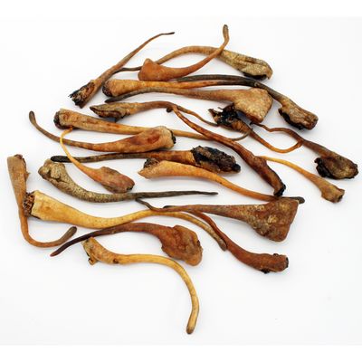 Heim Code di cinghiale