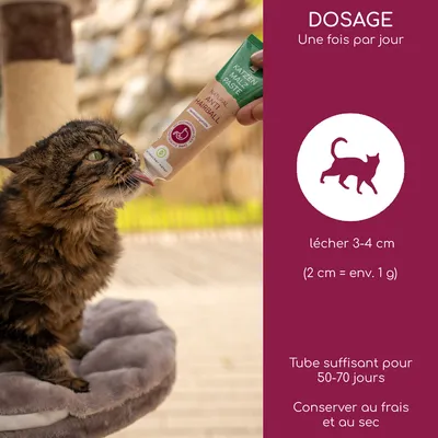 Pâte au malt pour chats Anti Boules de Poils : Dosage une fois par jour, laisser lécher 3-4 cm (2 cm = env. 1 g), le tube suffit pour 50-70 jours, à conserver au frais et au sec.