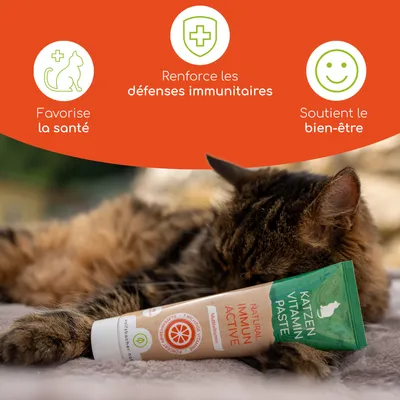 Pâte vitaminée pour chats Natural Immun Actif, multivitamines. Favorise la santé, renforce le système immunitaire, soutient le bien-être. Texte visible en français et en allemand.