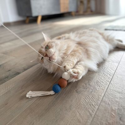 Aumüller Canne à pêche pour chat Filoa Macramee