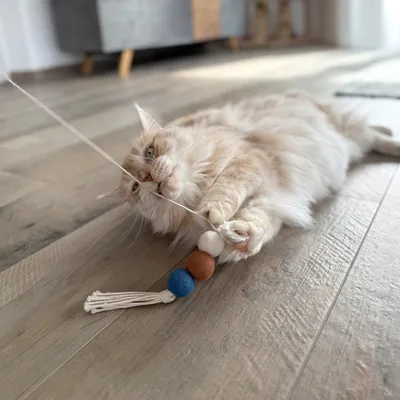Aumüller Katzenspielangel Filoa Makramee - 1 Stück