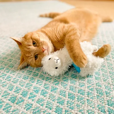 Aumüller Coussin Lama Luigi - 1 jouet