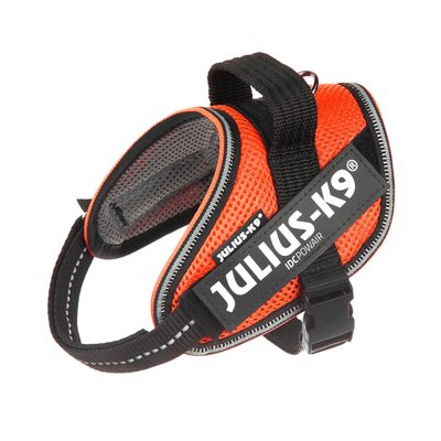 Шлейка JULIUS-K9 IDC Powair оранжевого цвета с отражающими швами и застёжкой на липучке, видимая фирменная надпись на ремне.