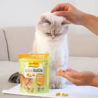 GimCat comprimidos de queso