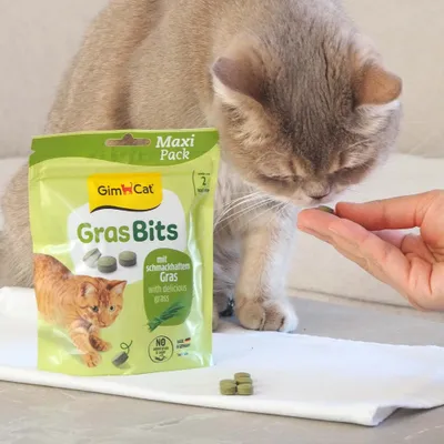 GimCat GrasBits - 425 g