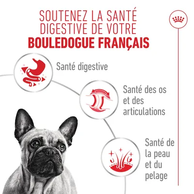Royal Canin Bouledogue français Mousse - 12 x 85 g