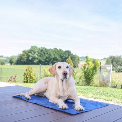 Kerbl Pet kylmatta Cool-Relax