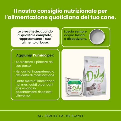 Razioni consigliate per cani: crocchette di alta qualità come base, acqua fresca sempre a disposizione, alimento umido per aumentare il piacere e fornire ulteriore idratazione. Prodotti Almo Nature Daily illustrati.