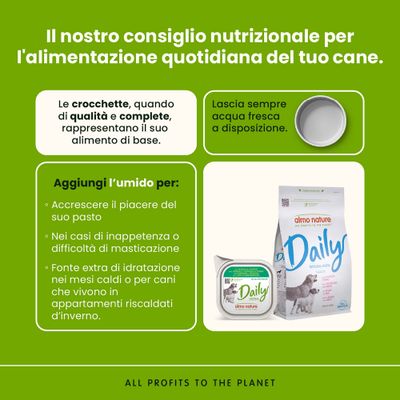 Raccomandazione per l'alimentazione quotidiana del cane: crocchette di alta qualità come base, sempre acqua fresca a disposizione, alimento umido per maggiore gusto e idratazione aggiuntiva. almo nature Daily ben visibile.