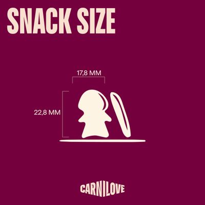 Carnilove Cat Crunchy Snack