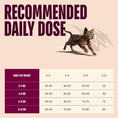 Carnilove True Fresh Kitten with Beef