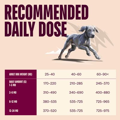 Carnilove Active Junior Large Breed losos a krocan