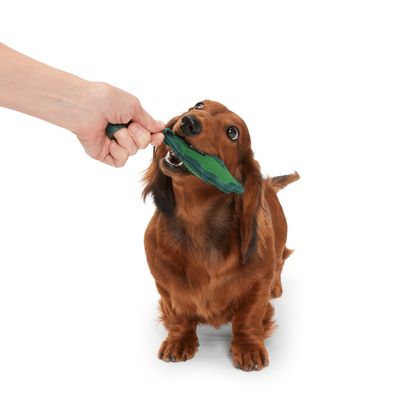 Bark zabawka dla psa,  liść do żucia