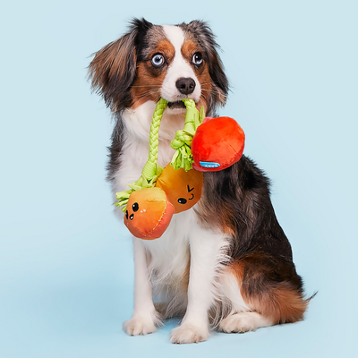 Bark Hundespielzeug Tomatenstaude - ca. L 25 x B 22 x H 5,5 cm