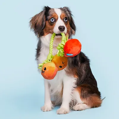 Bark Hundespielzeug Tomatenstaude - ca. L 25 x B 22 x H 5,5 cm