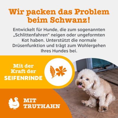 Zesty Paws Scoot Away Anal Gland Support Chews