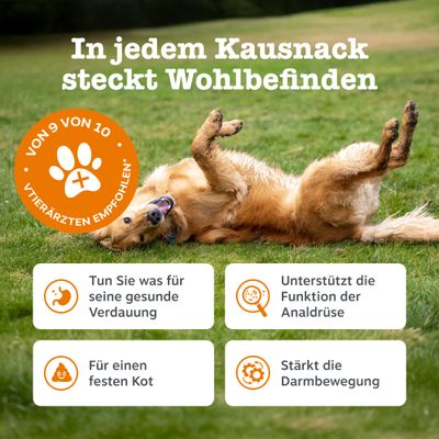 Zesty Paws Scoot Away Anal Gland Support Chews