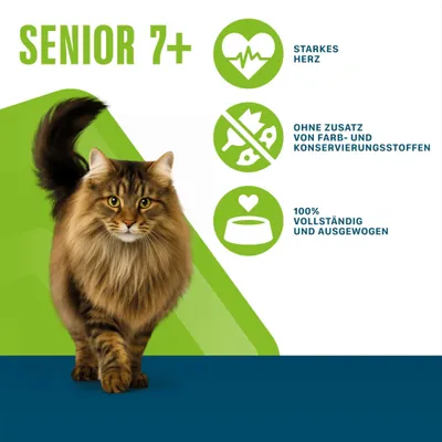 Senior 7+, cœur fort, sans ajout de colorants ni de conservateurs, 100 % complet et équilibré. Senior 7+, cœur fort, sans ajout de colorants ni de conservateurs, 100 % complet et équilibré.