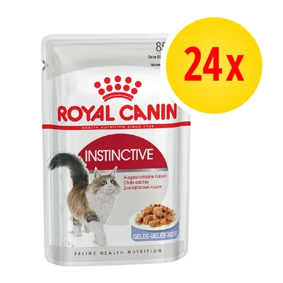 ROYAL CANIN Instinctive, karma w galaretce dla dorosłych kotów, opakowanie 85 g, zestaw 24 sztuki widoczny na żółtym tle