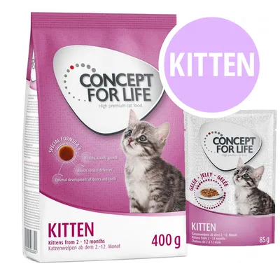 Pienso y sobre de comida para gatitos Concept for Life Kitten, visible texto: 400 g, 85 g, KITTEN, para gatos de 2–12 meses. Imagen de un gato pequeño en ambos envases.