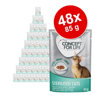 Korzystny pakiet Concept for Life, 48 x 85 g - British Shorthair Adult, ragout