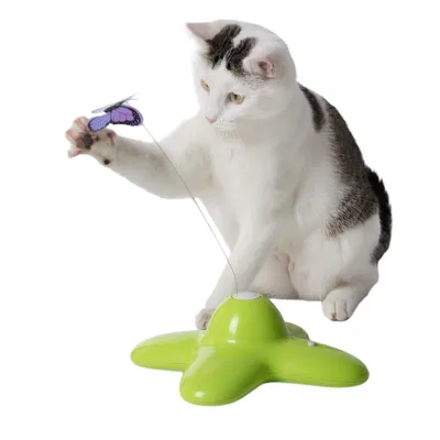 Weisse Katze spielt mit einem grünen interaktiven Spielzeug, das einen Schmetterling an einer Drahtstange enthält.