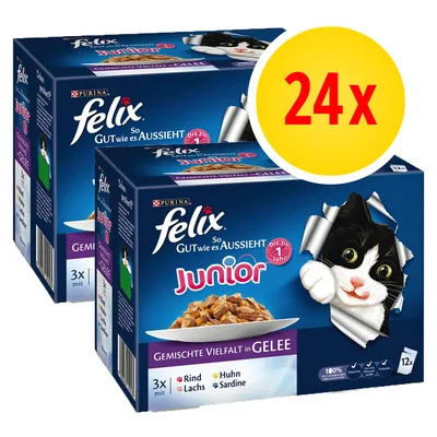 Felix Junior gemengde variëteit in gelei, 24x12 porties. Smaken: rund, kip, zalm, sardine. Tekst op verpakking deels in het Duits: 'Gut wie es aussieht', 'bis zu 1 Jahr'.