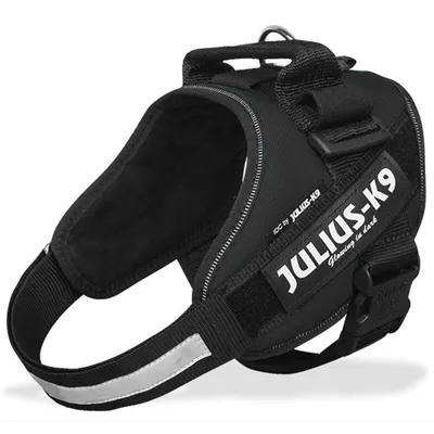 Zwart Julius-K9 hondentuig met reflecterende strepen en opschrift 'IDC by Julius-K9' en 'Glowing in dark'.