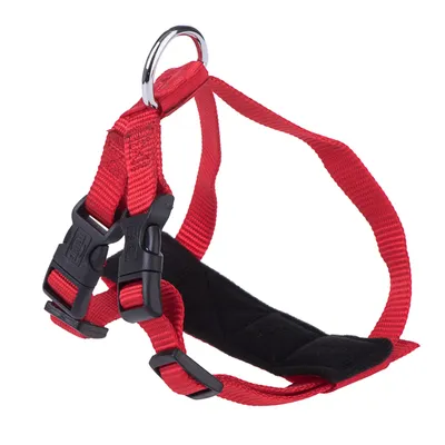 Pettorina rossa con cinghie in nylon regolabili, imbottitura nera e due chiusure a scatto. Anello in metallo visibile per il fissaggio.