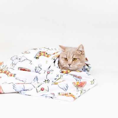 Coperta bianca con motivi Harry Potter: gufi, frutti di boscotte magiche, occhiali, stemma Gryffindor e simboli di lettere.