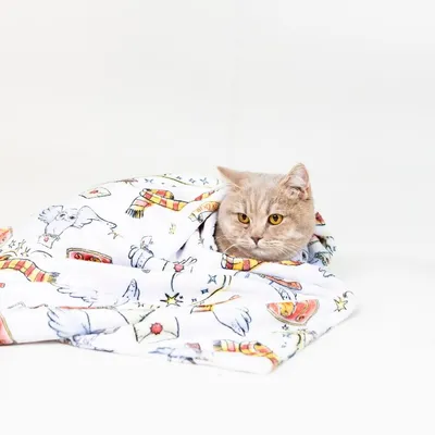 Beige Katze eingewickelt in eine weisse Decke mit buntem Muster aus Zauberstäben, Sternen und Flügeln.