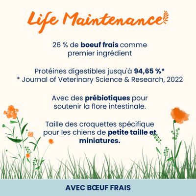 26 % de bœuf frais comme ingrédient principal, protéines digestibles jusqu'à 94,65 %, avec des prébiotiques pour soutenir la flore intestinale, croquettes spéciales pour petits chiens et chiens miniatures.