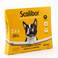 Scalibor® Collier antiparasitaire - 2 colliers petit chien et chien moyen, 48 cm