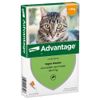 Advantage® 40 voor Katten tot 4 kg 4 pipetten - NL