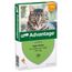 Advantage® 40 voor Katten tot 4 kg 4 pipetten - NL