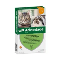Advantage® für Katzen und Zierkaninchen - 4 Pipetten x 0,4 ml (< 4kg)