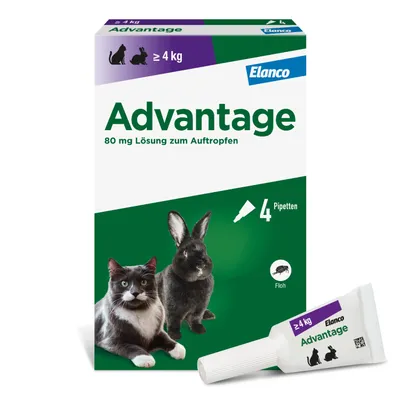 Advantage® für Katzen und Zierkaninchen - 4 Pipetten x 0,8 ml (> 4kg)