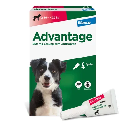 Advantage® 250 für Hunde, von 10 bis 25 kg 4 Pipetten x 2,5 ml