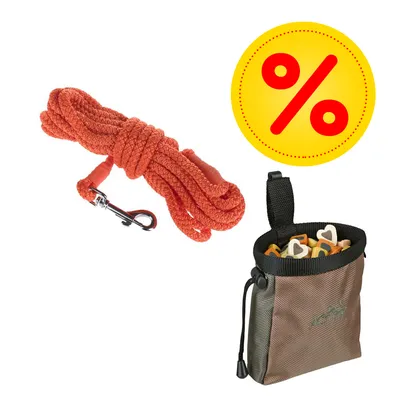 Orange Hundeleine mit Metallkarabiner und braune Leckerlitasche mit Herzförmigen Snacks. Gelbes Prozentzeichen für Rabattaktion sichtbar.