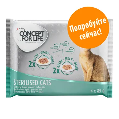 Упаковка Concept for Life Sterilised Cats, 4×85 г, для стерилизованных кошек; надпись на оранжевом круге: Попробуйте сейчас! В наборе 2× соус, 2× желе.