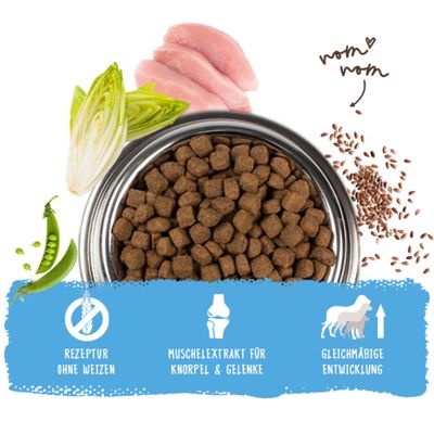 Trockenfutter mit Erbsen, Chicorée, Huhn und Leinsamen. Hinweise: Rezeptur ohne Weizen, Muschelextrakt für Knorpel & Gelenke, gleichmäßige Entwicklung.